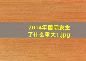 2014年国际发生了什么重大