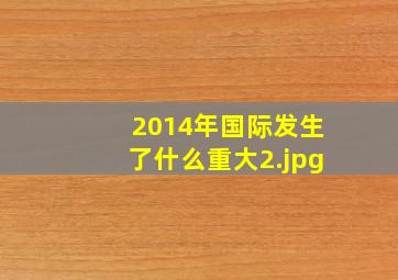 2014年国际发生了什么重大
