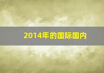 2014年的国际国内