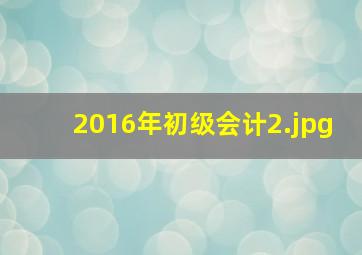 2016年初级会计