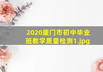 2020厦门市初中毕业班教学质量检测