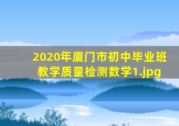 2020年厦门市初中毕业班教学质量检测数学