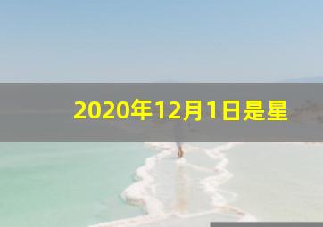 2020年12月1日是星