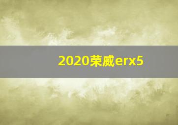 2020荣威erx5