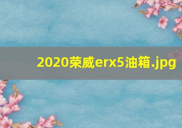 2020荣威erx5油箱