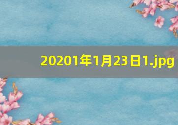 20201年1月23日