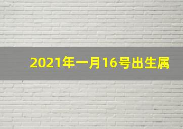 2021年一月16号出生属