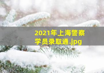 2021年上海警察学员录取通