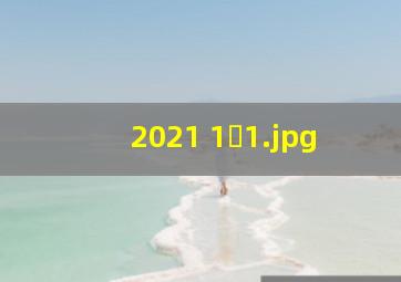 2021 1�
