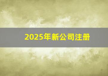 2025年新公司注册