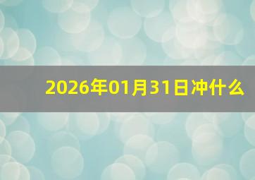 2026年01月31日冲什么