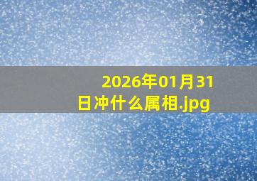 2026年01月31日冲什么属相