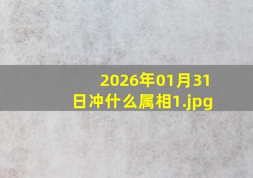 2026年01月31日冲什么属相