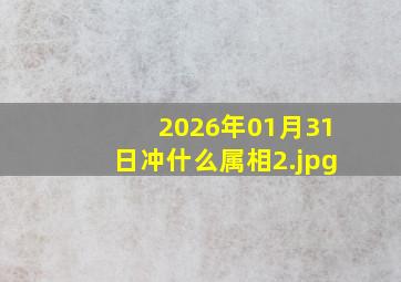 2026年01月31日冲什么属相