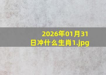 2026年01月31日冲什么生肖