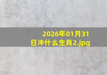 2026年01月31日冲什么生肖