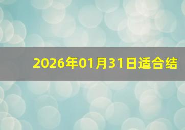 2026年01月31日适合结