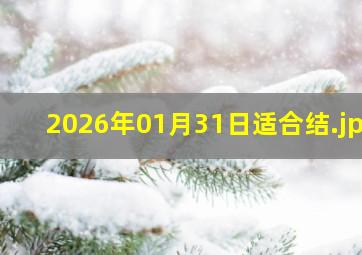 2026年01月31日适合结