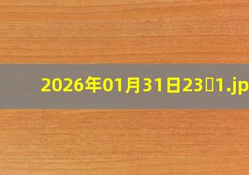 2026年01月31日23�