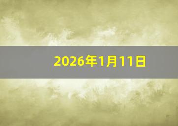 2026年1月11日