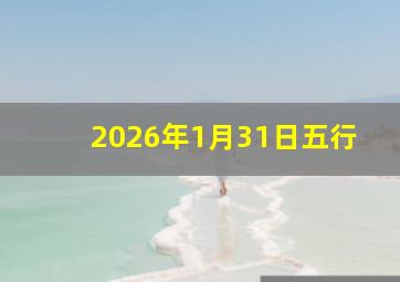 2026年1月31日五行