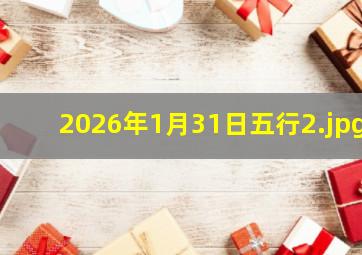 2026年1月31日五行