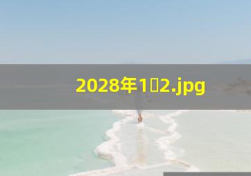 2028年1�