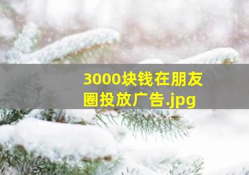 3000块钱在朋友圈投放广告