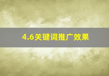 4.6关键词推广效果