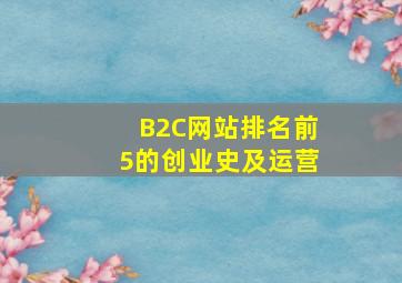 B2C网站排名前5的创业史及运营