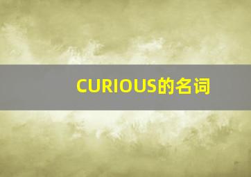 CURIOUS的名词