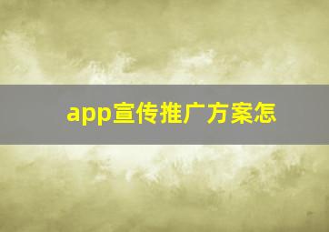 app宣传推广方案怎