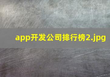 app开发公司排行榜