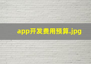 app开发费用预算
