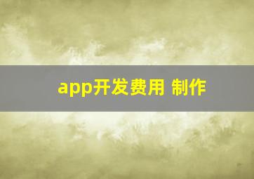 app开发费用 制作
