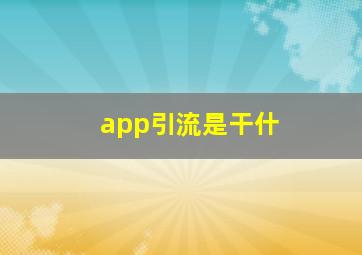app引流是干什