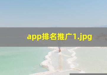 app排名推广