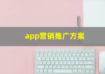app营销推广方案