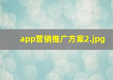 app营销推广方案