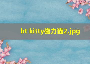bt kitty磁力猫
