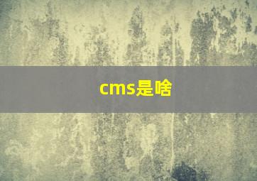 cms是啥