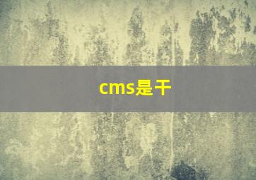 cms是干