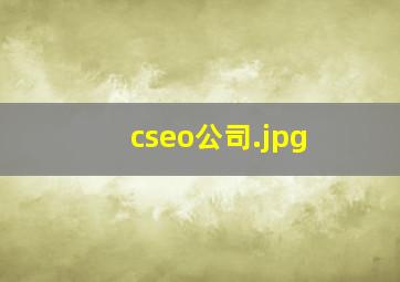 cseo公司