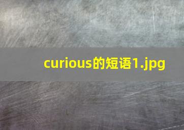 curious的短语