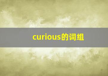curious的词组
