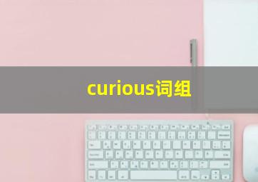 curious词组