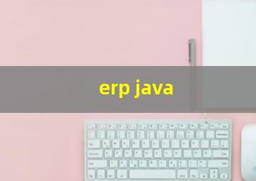 erp java 