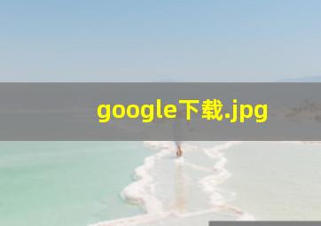 google下载