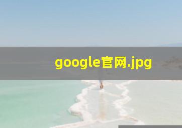 google官网