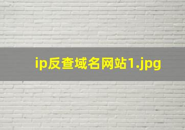 ip反查域名网站